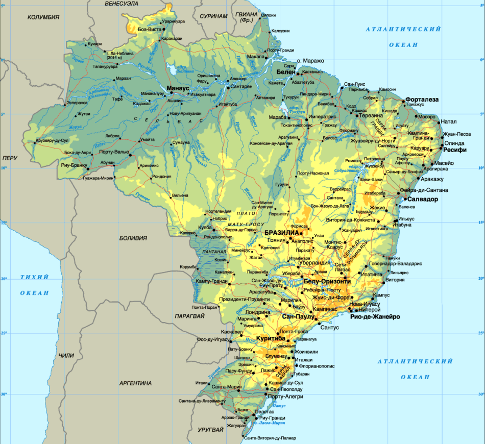 ����� ��������