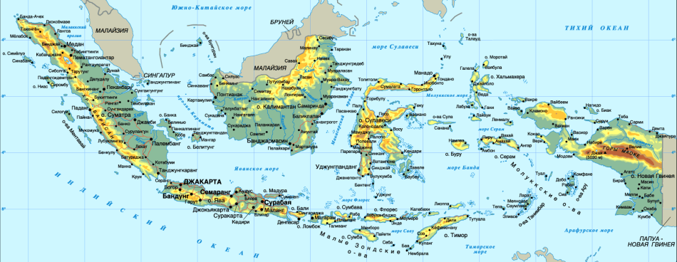 ����� ���������