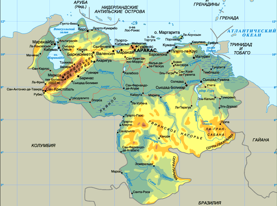 ����� ���������